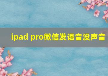 ipad pro微信发语音没声音